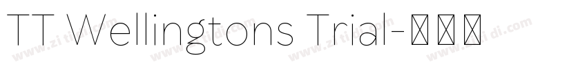 TT Wellingtons Trial字体转换